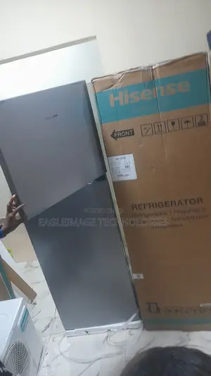 Perfect Family Size Hisense REF306DR Standing Refrigerator