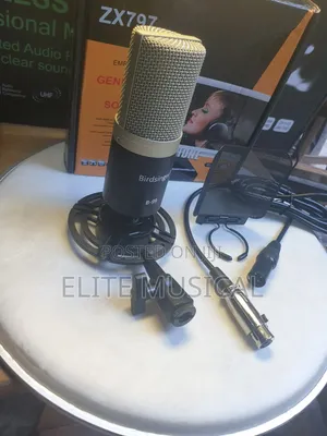 Professional Birdsinger B-99 Condenser Microphone