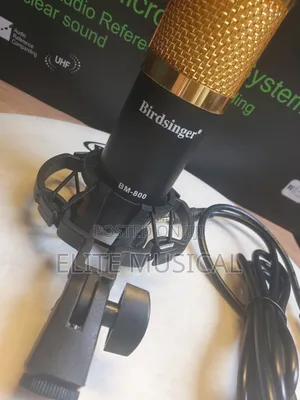 Professional Birdsinger BM-800 Condenser Mic