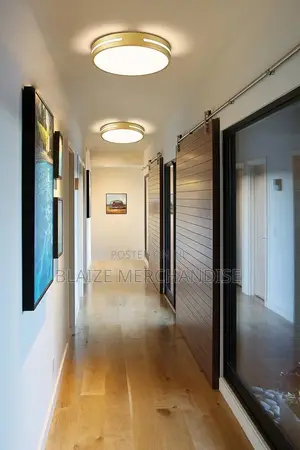 Modern Brushed Gold Flush Mount Ceiling Light LED Ceiling Light