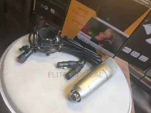 High Quality Birdsinger C-1 Condenser Microphone