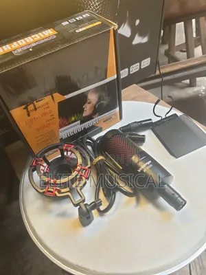 High Quality Birdsinger at-2020 Condenser Microphone