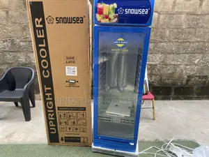 Snowsea 300L Commercial Display Chiller - Lc300w