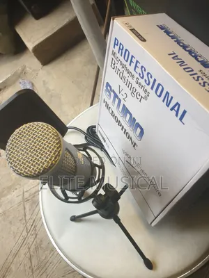 Quality Birdsinger v-2 Condenser Microphone