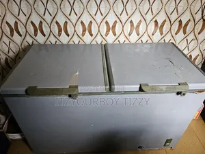 Double Door Freezer