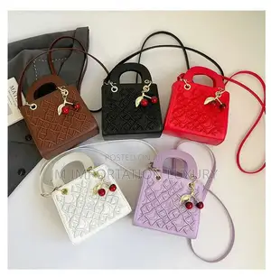 Lady Dior Bags