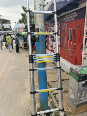 Telescopic Ladder
