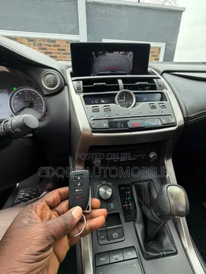 Lexus NX 2019 Gray
