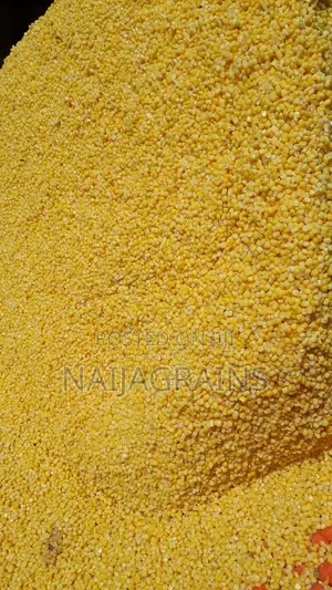 Fresh Yellow Garri (Cassava Flakes) for Sale | Wholesale Retail