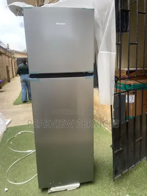Hisense 306DR 360L Cold Storage Refrigerator