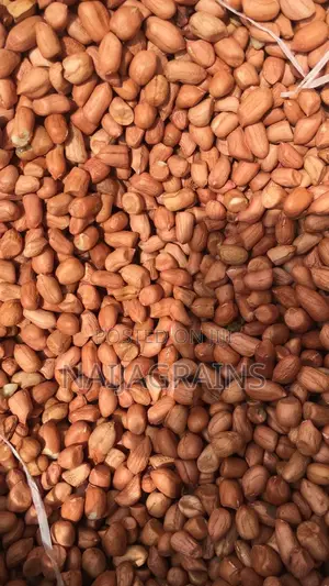Quality Bororo Groundnut for Sale | Wholesale Retail