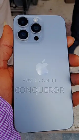 Apple iPhone 15 Pro Max 256 GB Gray