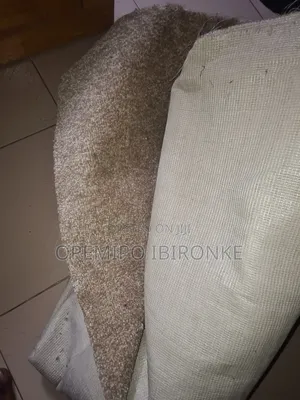 Room Sized Rug