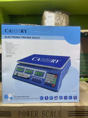 Original 40kg Electronic Pricing Scale