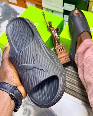 Puma.High Quality Slide Frank.6d