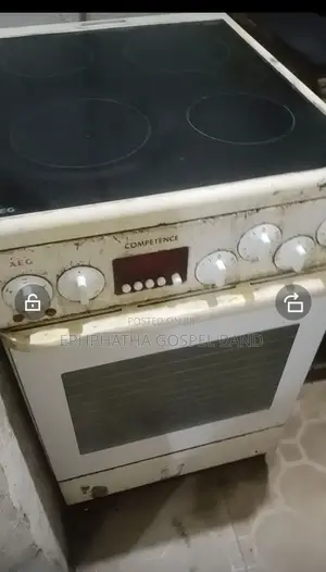 Electric Cooker With Oven
