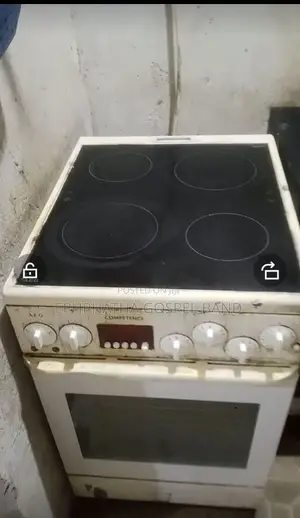 Electric Cooker With Oven