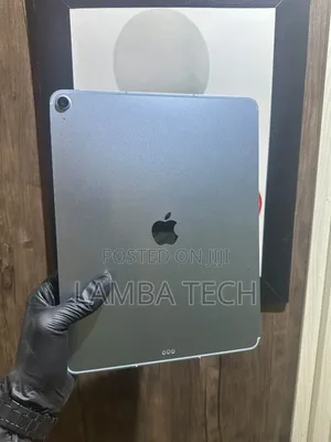 Apple iPad Air 1 TB Silver