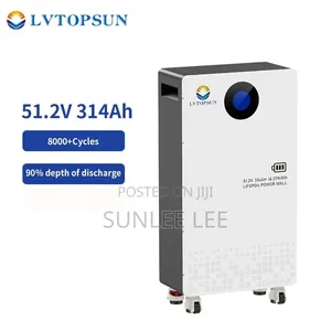 Lvtopsun Lithium Battery