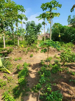 82Acres of Agricultural Farm for Sale