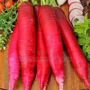 Fresh Organic Radish Per 20 Pcs. Red and White Radish.