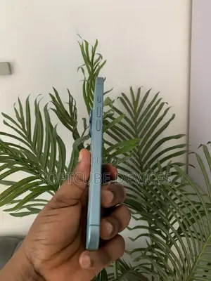 Apple iPhone 16 Plus 256 GB Green