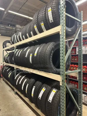 Michelin/Austone Tires