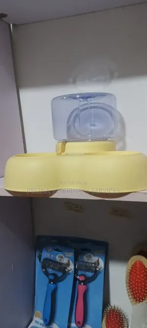 Food and Water Dispenser