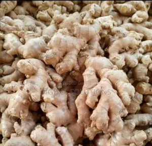 Ginger Per 1 Paint Bucket. Fresh Ginger.