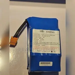 Hoverboard Scooter Battery