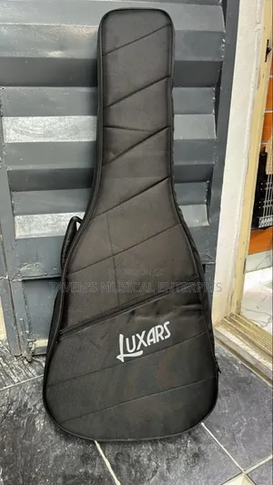 Professional Guitar Case