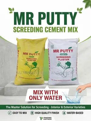 Mr Putty Problem-Solving