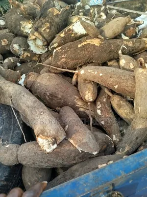 Plots of Cassava for Sell
