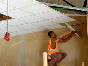 Suspended Ceiling