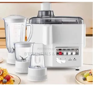 4 in 1 Juicer