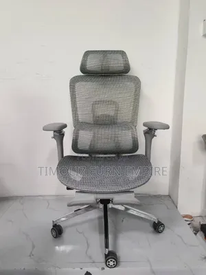 Mesh Ergonomic Office Chair.