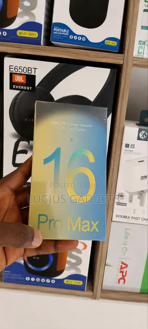 iPhone 16 Pro Max Charger