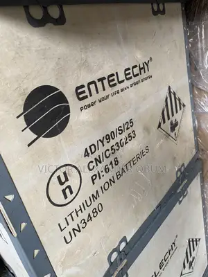 8kwh -24volts Entelechy Lithium Battery