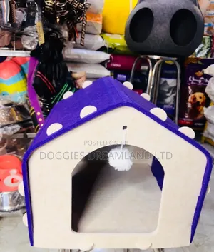 Fanciful and Exotic Cat House