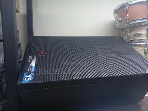 Original CV 15 Inches Mornitor Speaker