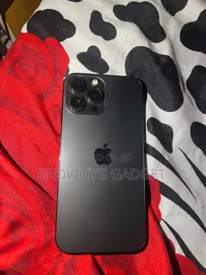 Apple iPhone 13 Pro Max 256 GB Gray
