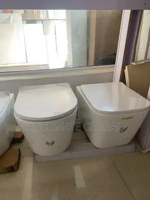 Wall Hung Mounted Water Closet