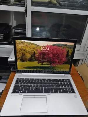 Laptop HP EliteBook 755 G5 8GB AMD Ryzen 5 SSD 256GB