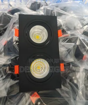 Double Adjustable Recessed COB LED Downlight With a Rectangular Trim
