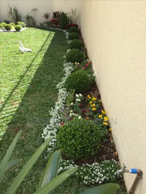 Garden and Landscaping