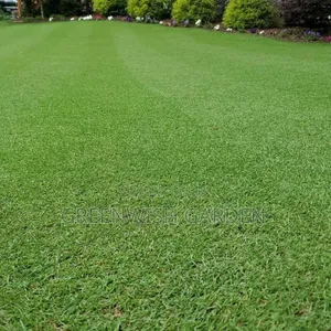 Lawn and Green Area Installation