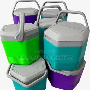 Chillex 10L Cooler - Food Warmer