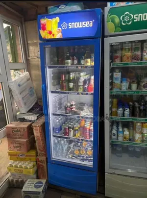 SNOWSEA Upright Display Chiller – 300L, 400L 500L