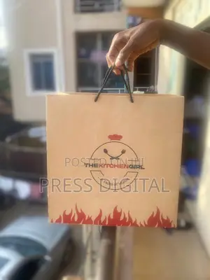 Paper Bag With Plastic Handle