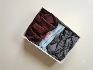 Premium Men's Mesh Boxer Briefs- Pack of 3(super Breathable)